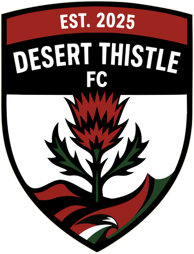 dt logo